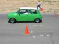 Mini Coopers - IMG_0226