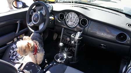 MINI Cooper dashboard