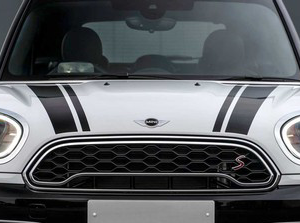 Mini Countryman OEM Stripes in Black and White for F60