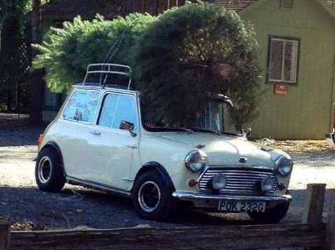 Mini Mania Cars For Sale Best Car Update 2019 2020 By Thestellarcafe