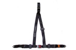 Securon 3 Point Rally Harness Seatbelt