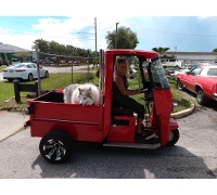 1970 cushman  truckster   truckster 