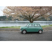 1996 Rover Mini Cooper