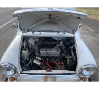 1988 Austin Mini