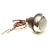 Front Indicator Turn Signal Lamp Complete, 1951-61 Front Indicator Turn Signal Lamp Complete, 1951-61