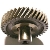 A+ Idler Gear Latest Model A+ Idler Gear Latest Model