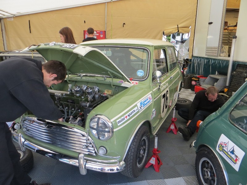 Classic Mini Coopers at Brands Hatch