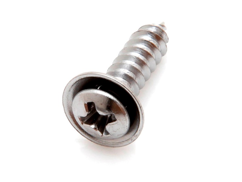 Chrome Interior Screws With Cupped Washers