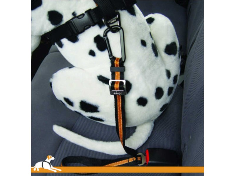 Seat Belt Tether For Pets