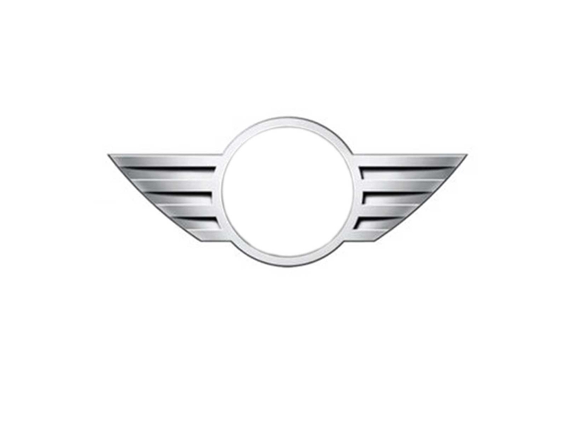 Mini Cooper - Front and Rear Mini Wings Emblem Accent Combo – VinylMod