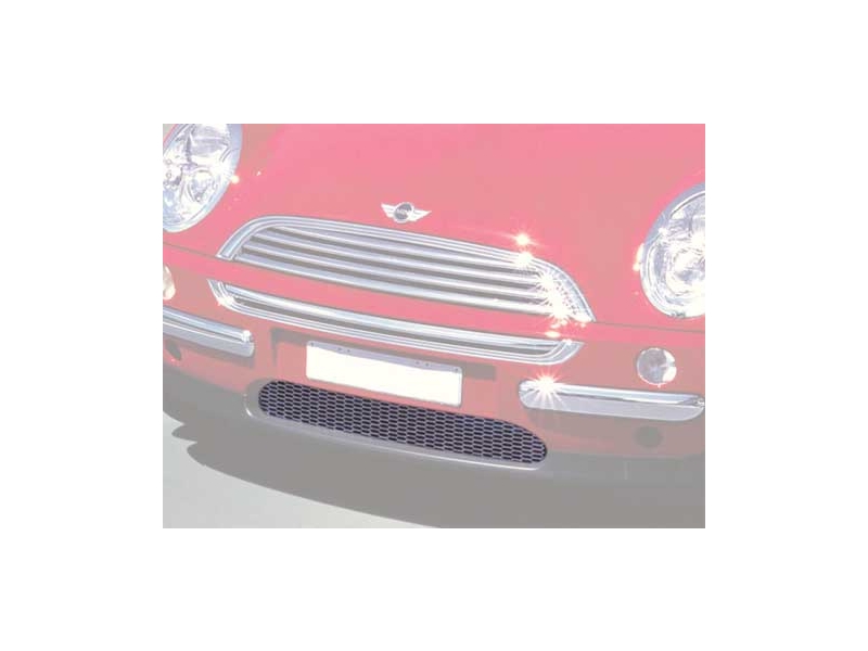Front Lower Grille Oem - R50 Mini Cooper To 07/04