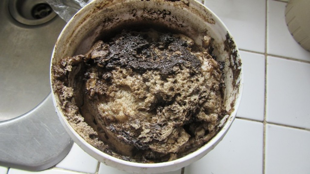 Molasses___Water_Test